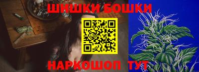 дживик Новозыбков