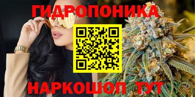эйфоретик Новодвинск