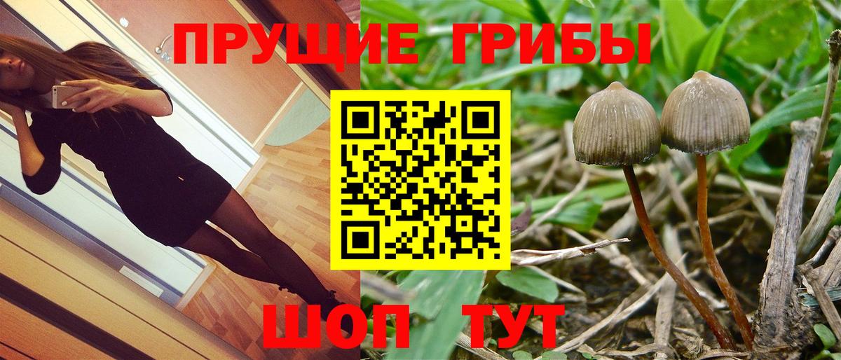 цена наркотик  Галлюциногенные грибы Cubensis  Вход с VPN  Троицк 